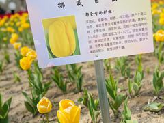 -院士公园
