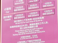 -迪士尼乐园停车场