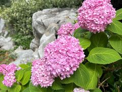 -苏州山塘街华贸姑苏里酒店