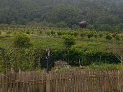 -井冈山风景名胜区