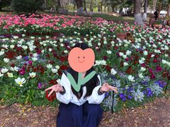 -上海鲜花港
