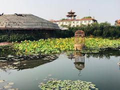 -白洋淀景区