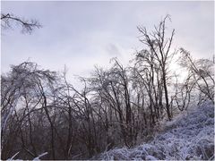 -中旅松花湖滑雪场