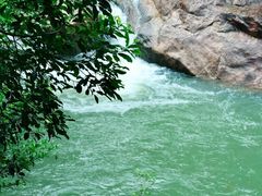 -广州白江湖森林公园