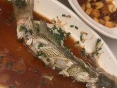 -便宜坊烤鸭店(科创店)