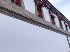 -塔尔寺菩提树