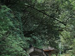 -西岭雪山大飞水景区