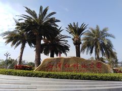 -宝安西湾红树林湿地公园