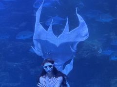 -无锡动物园·太湖欢乐园