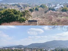 -香雪海