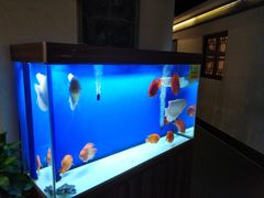 -宁海食府(大剧院店)