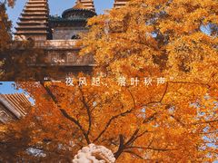-北京石刻艺术博物馆(五塔寺)