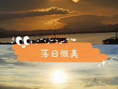 -盐洲岛