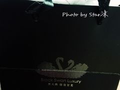 -BLACKSWAN黑天鹅(环球店)