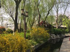 -老济南药膳把子肉(周公祠街店)