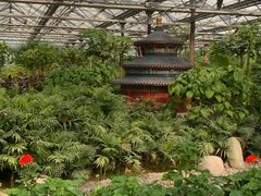 -南宫五洲植物乐园