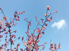 -白塘生态植物园