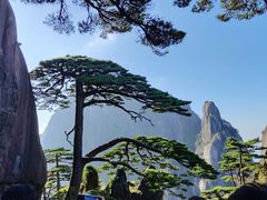 -黄山风景区