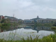 -铁山坪森林公园