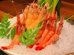 -Mr.Fish鱼鲜生海鲜放题(高德置地冬广场店)