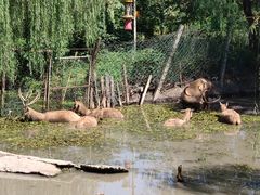 -溱湖国家湿地公园