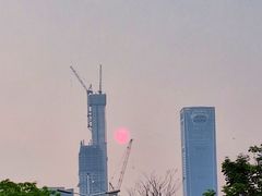 -深圳湾公园(南山区)
