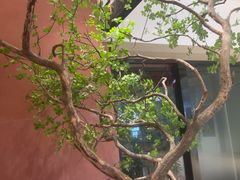 -大神太神·铁板烧(七宝领展广场店)
