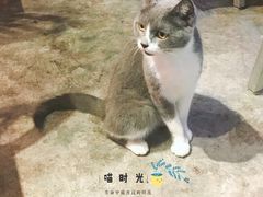 -MIKAKU(万达广场上海宝山店)