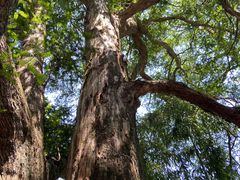 -藏龙百瀑风景区