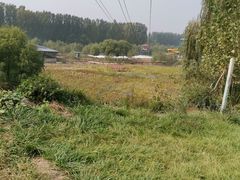 -东方巨龟苑景区