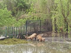 -溱湖国家湿地公园