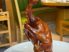 -大鸽饭(马王堆店)