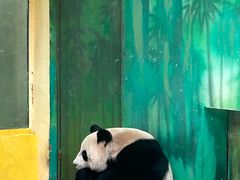 -杭州野生动物世界