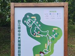 -都江堰中华大熊猫苑