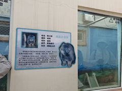 -青藏高原野生动物园