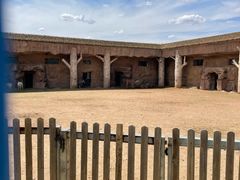 -鄂尔多斯野生动物园