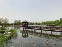 -羊亭河湿地公园