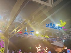 -渔家火锅·海鲜自助餐·演艺(亚龙湾天域酒店)
