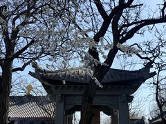 -护国法轮寺