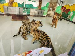 -大连森林动物园