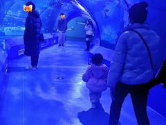 -重庆欢乐海底世界