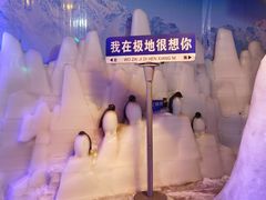 -海合安青岛极地海洋公园