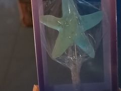 -合肥海洋世界