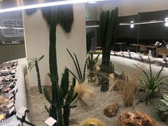 -OUR Bakery(SKP-S店)