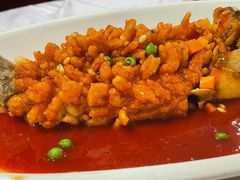 -宋园·金宴浙鲜馆(静安店)