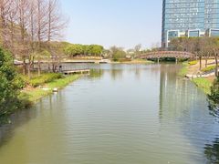 -南翔镇银翔湖公园