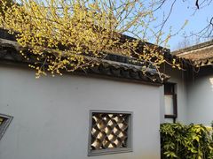 -无锡梅园公园
