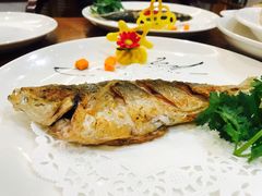 -榕树下海鲜楼(开元店)