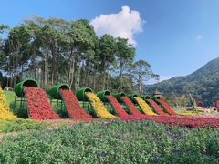 -广州市石门国家森林公园