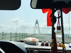 -东郊椰林